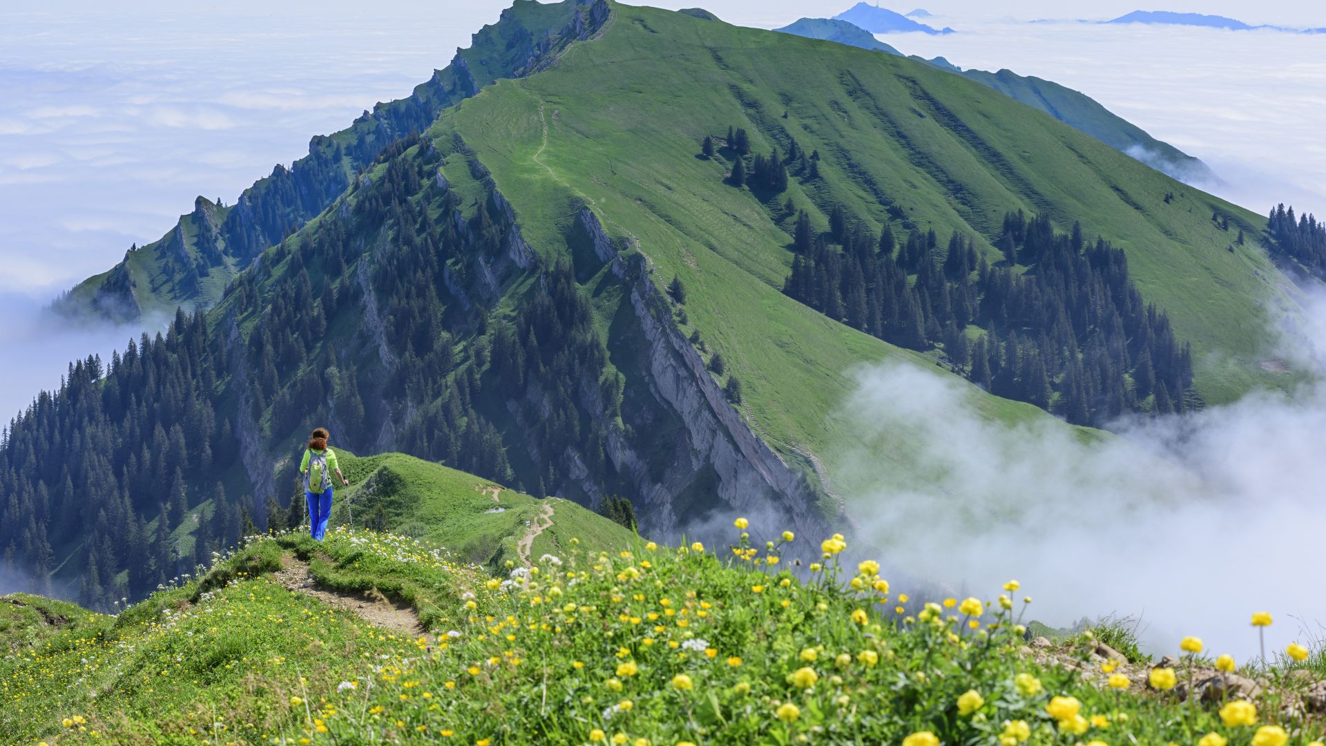 Naturpark Nagelfluhkette – Grenzenlose Bergvielfalt