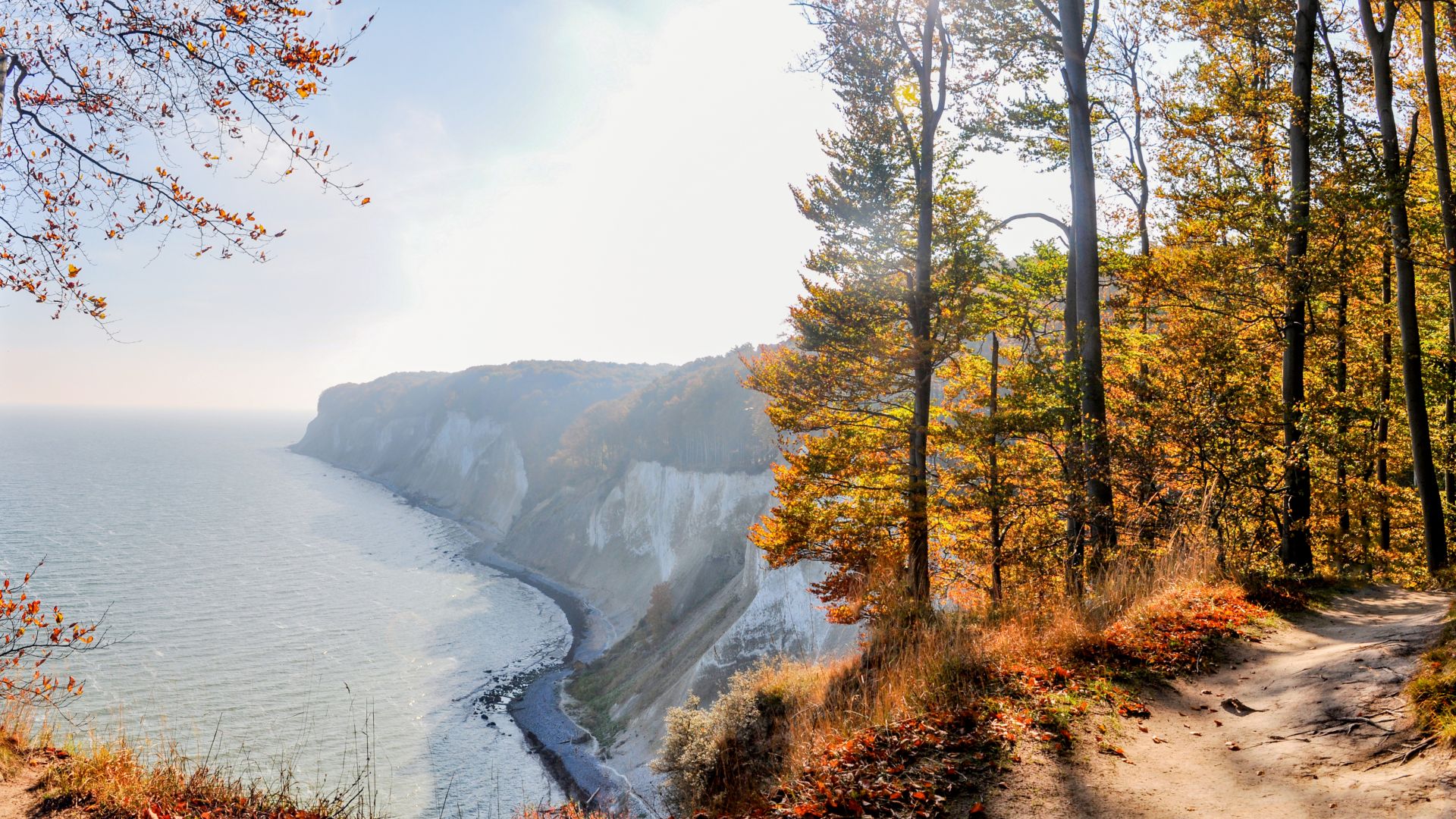 Rügen: Herbstliche Königsstuhl Kreidefelsen der Stubbenkammer im Nationalpark Jasmund