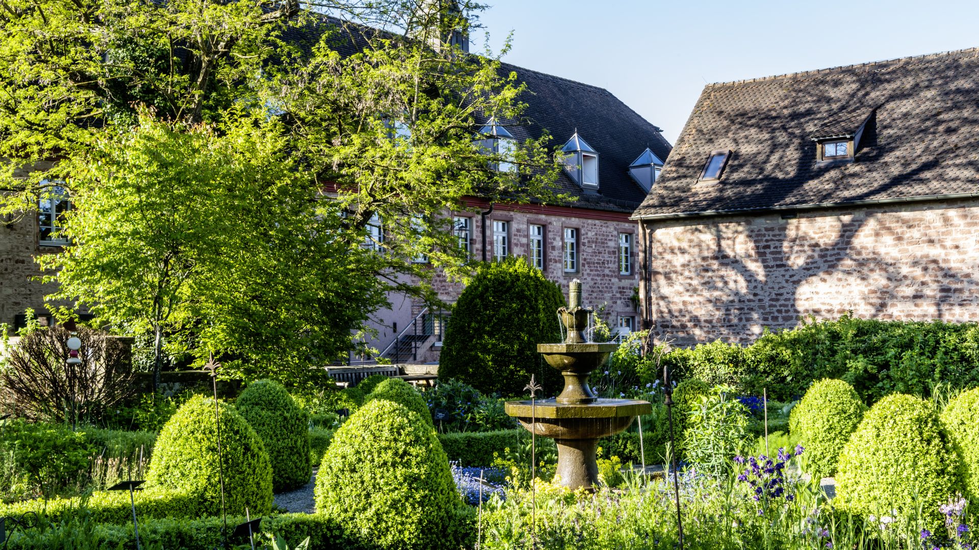 Der Klostergarten des Kloster Hornbach, mit einer Steinfontäne und gepflegten Büschen, im Morgenlicht