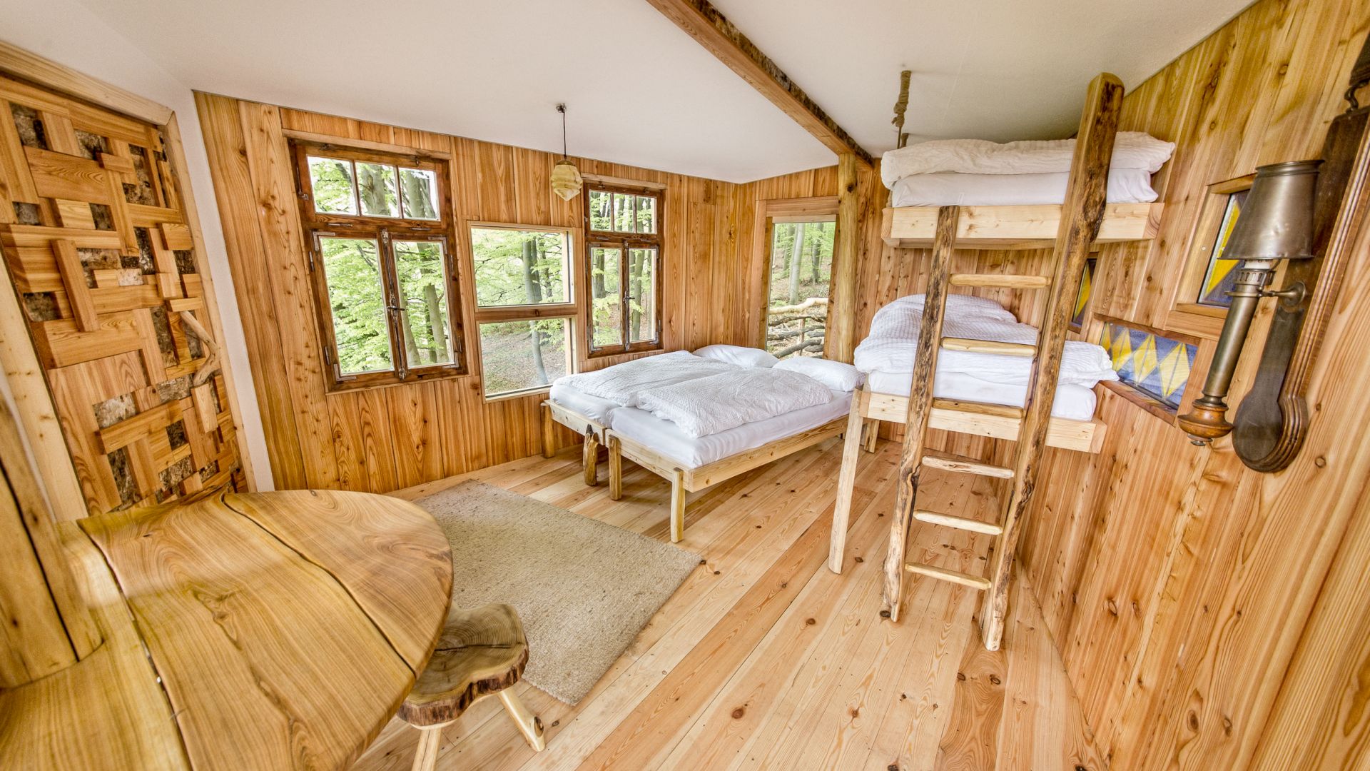 Vista interior del alojamiento Robins Nest con un acogedor interior de madera, literas y vista al bosque a través de las ventanas.